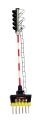 20211103_145255-removebg-preview.png