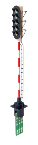20230715_112716-removebg-preview.png