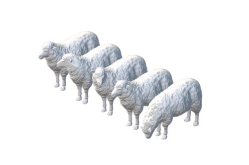 Owce-removebg-preview.png
